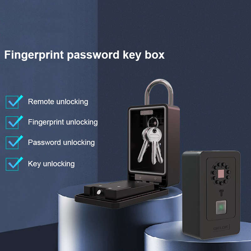 Cassetta di Sicurezza Intellig - Home Security Box recensione e prezzo