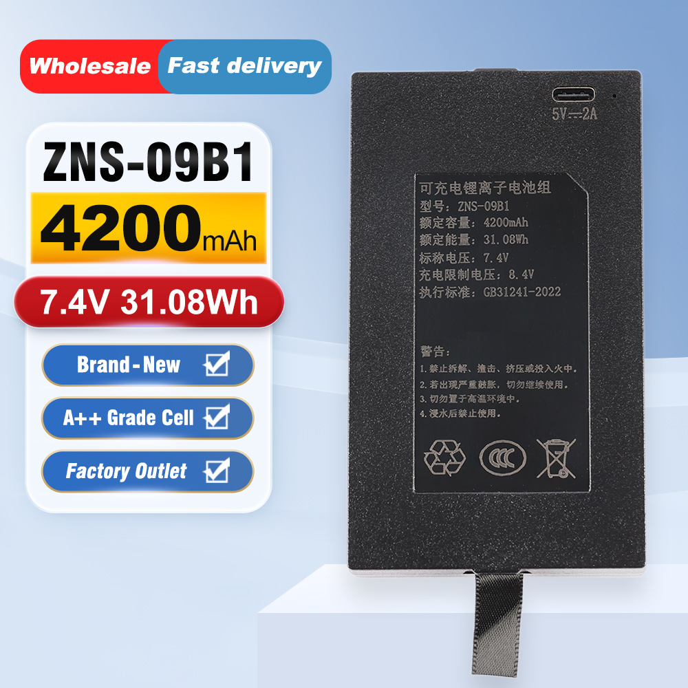 Batteria di ricambio ZNS-09B1  - Home Security Battery Replacement recensione e prezzo